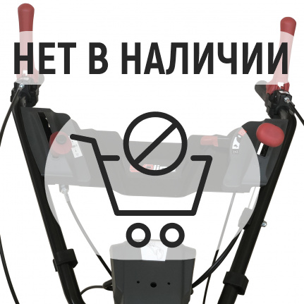 Подметальная машина EVOline SWG 1000 (с двигателем Zongshen)