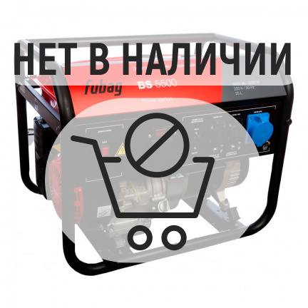 Бензиновый генератор FUBAG BS 5500