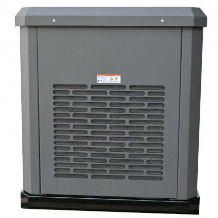 Генератор газовый EVOline GNG 19000 E