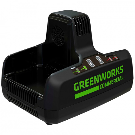 Зарядное устройство Greenworks G82C2 2939007