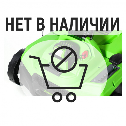 Аккумуляторный аэратор-скарификатор Greenworks GD40SC38II 40V (без акк, без з/у)